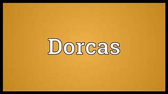 Dorcus.jpg